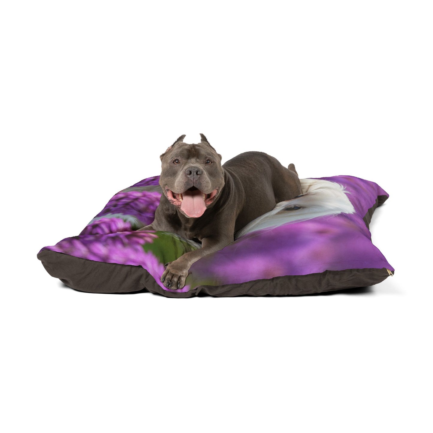Maltese Pet Bed