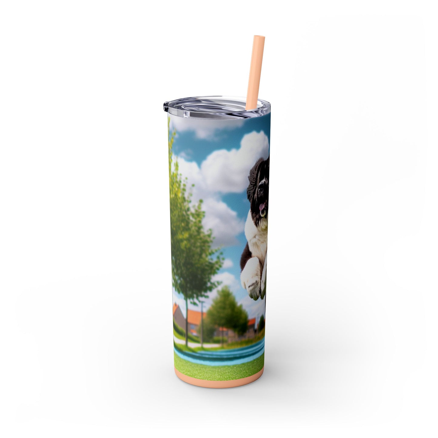 Landseer Tumbler with Straw, 20oz