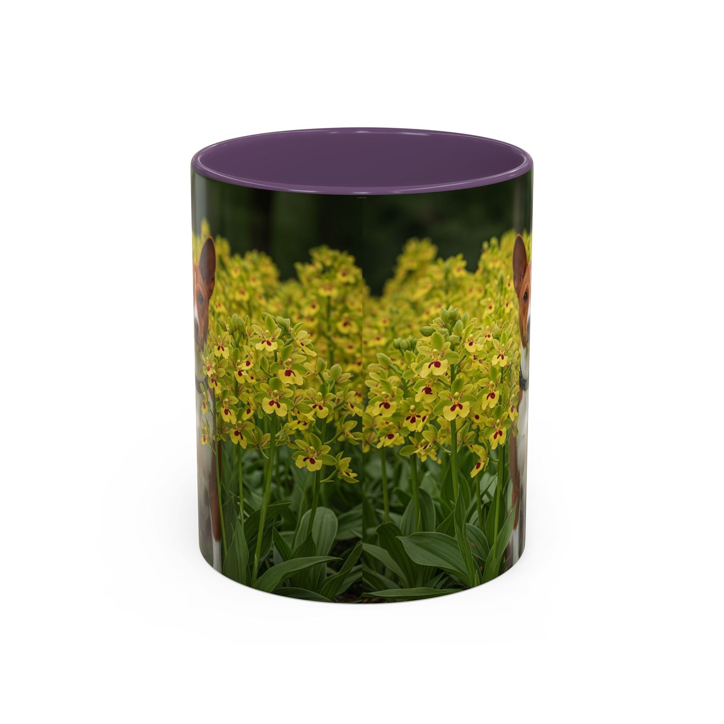 Basenji Accent Coffee Mug - Perfect Gift for Dog Lovers
