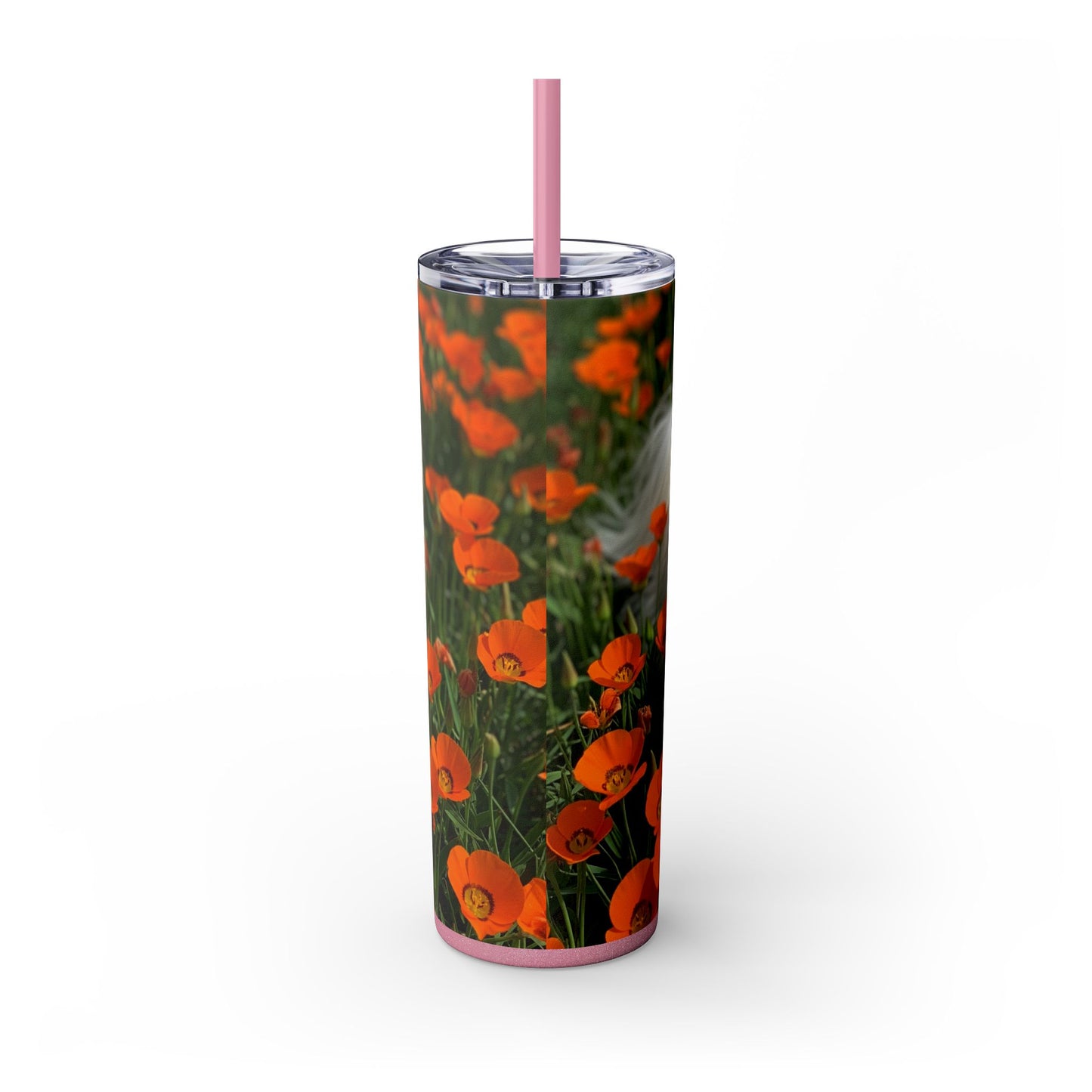 Havanese Tumbler with Straw, 20oz