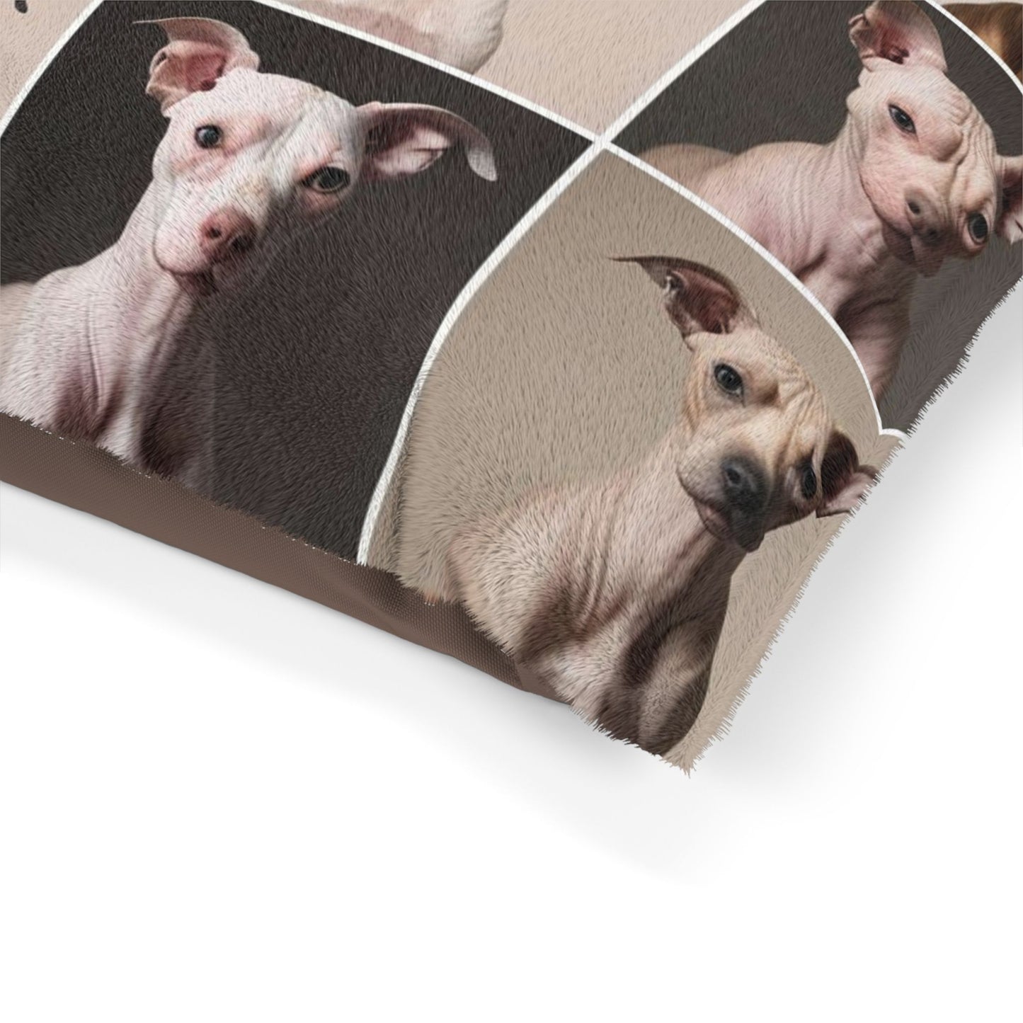 Hairless Dogs Pet Bed