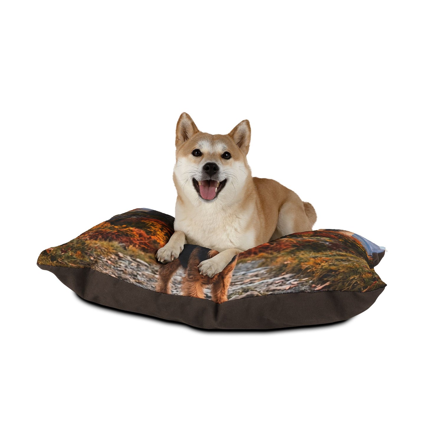 Welsh Terrier Pet Bed