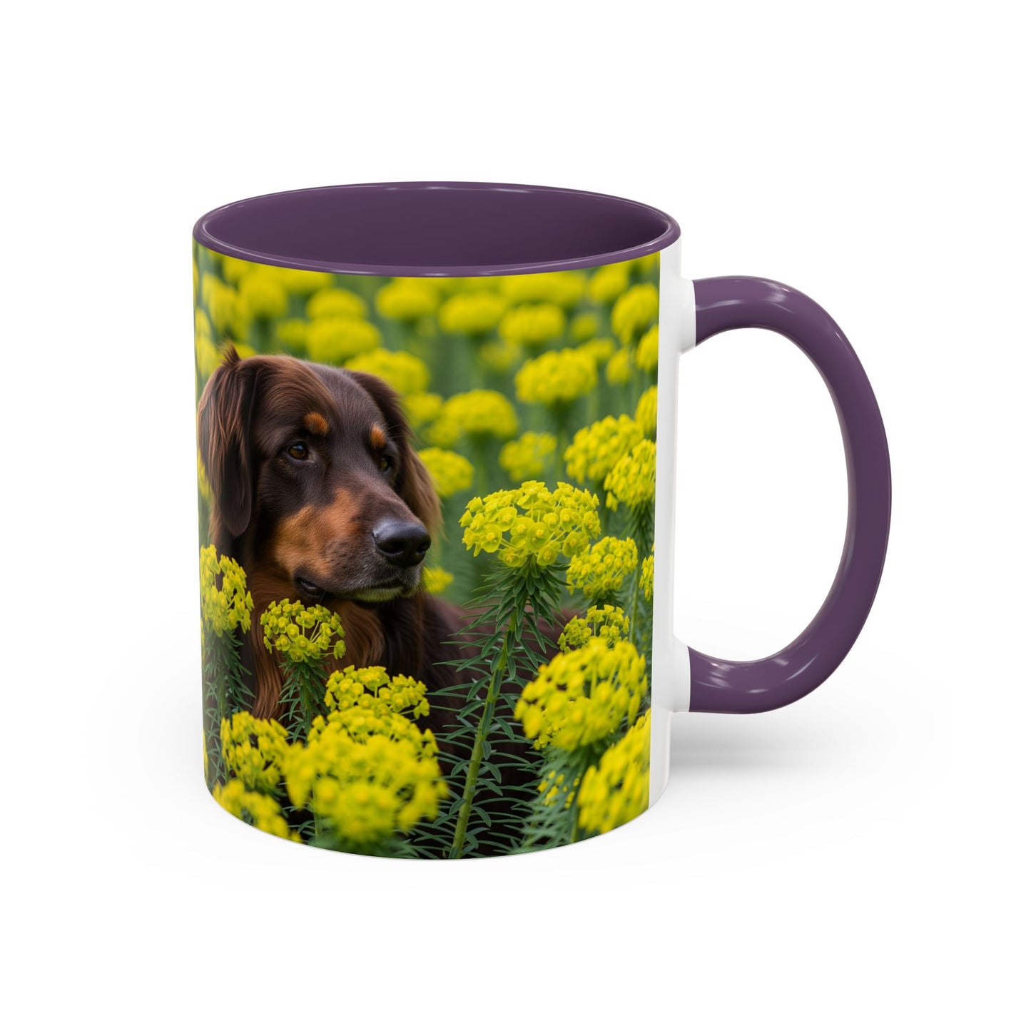 Hovawart Accent Coffee Mug - Perfect Gift for Dog Lovers