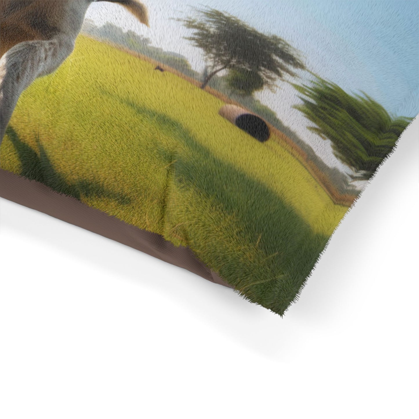 Indian Pariah Dog Pet Bed