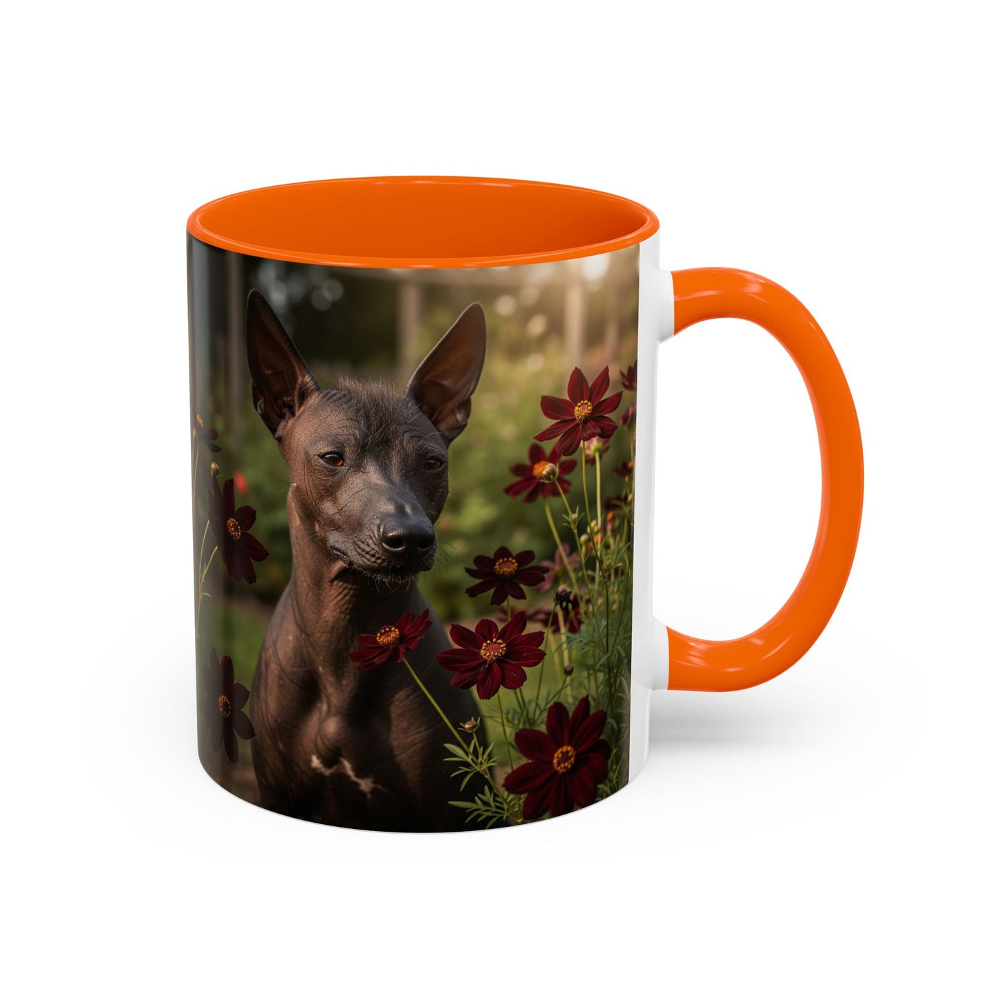 Xoloitzcuintli Accent Coffee Mug - Perfect Gift for Dog Lovers