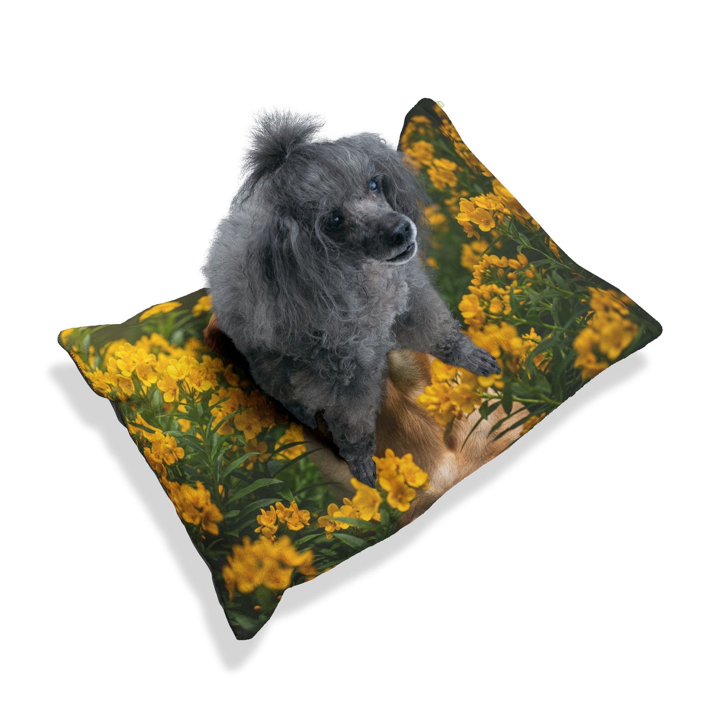 Labrador Retriever Pet Bed