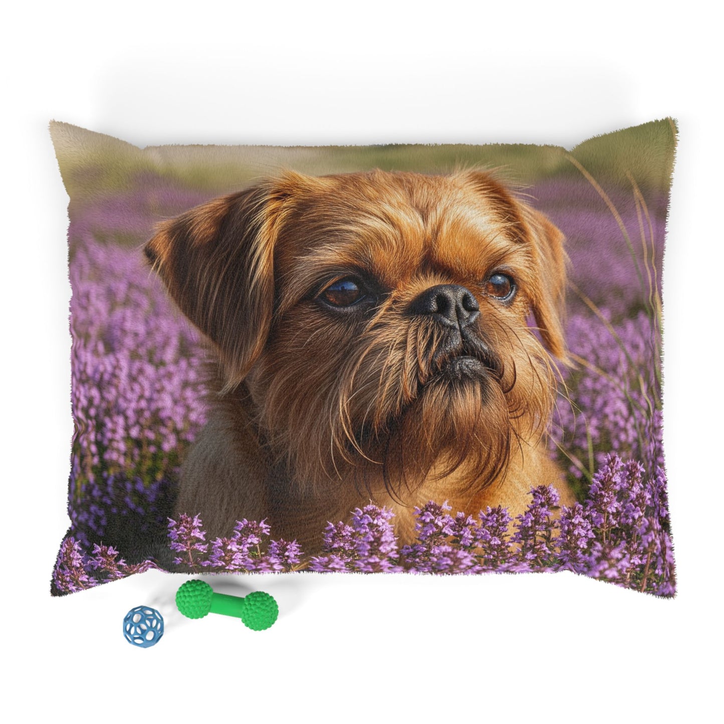 Griffon Bruxellois Pet Bed