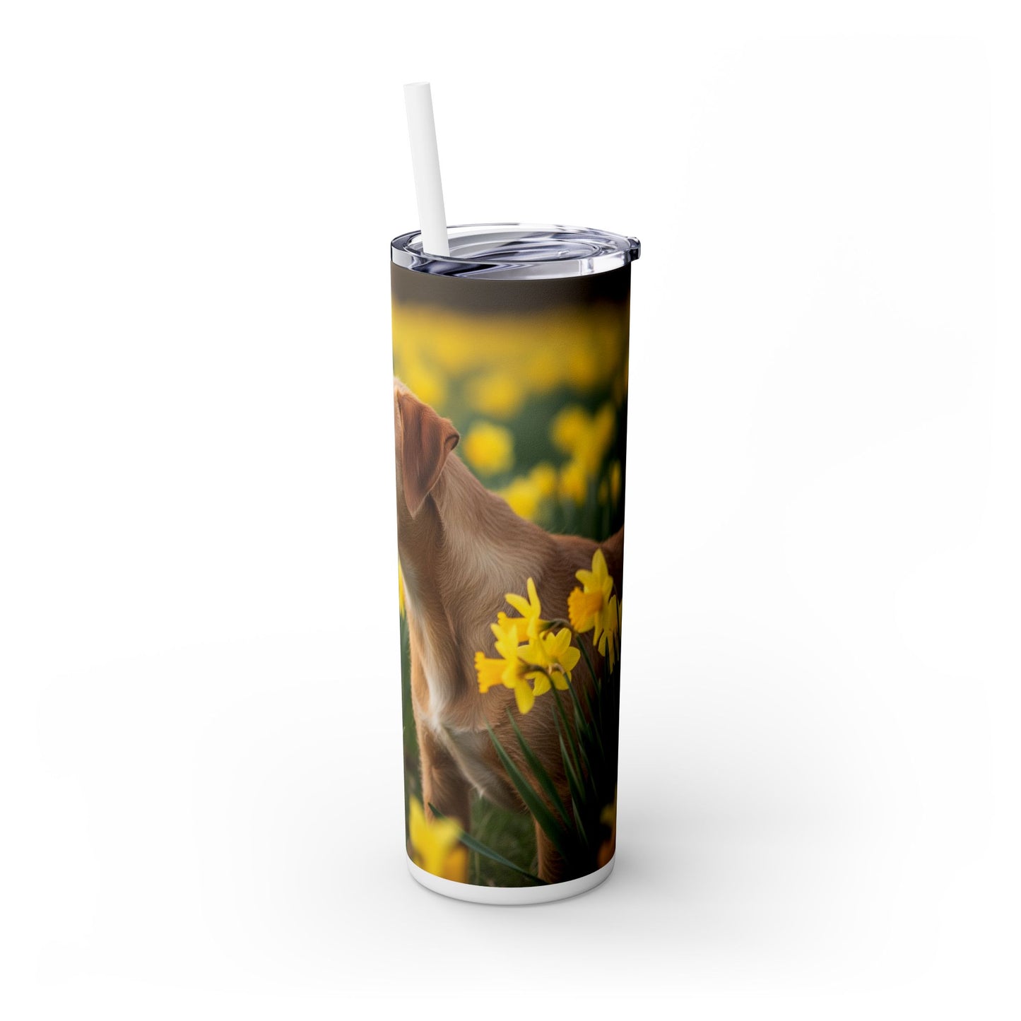 Portuguese Podengo Pequeno Skinny Tumbler with Straw, 20oz