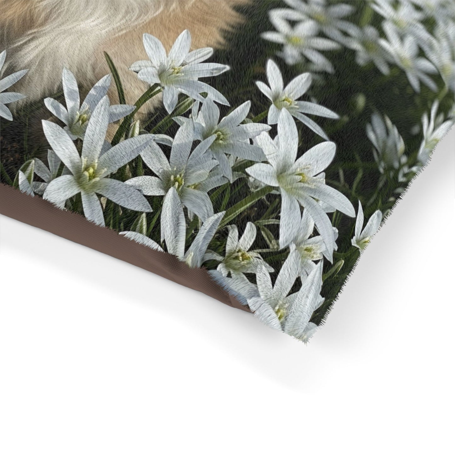Morkie Pet Bed