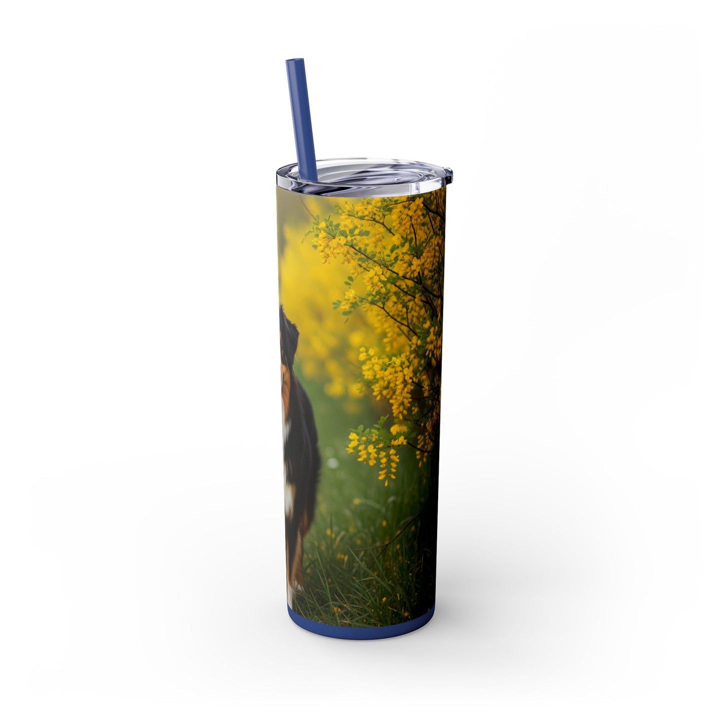Australian Shepherd Skinny Tumbler with Straw, 20oz