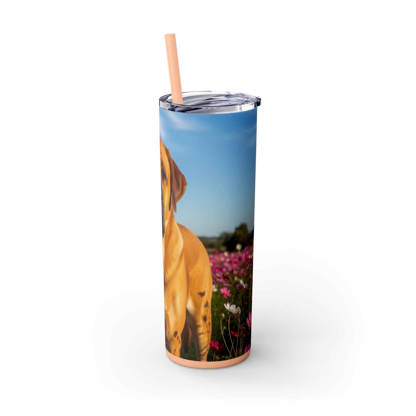 Spanish Mastiff Skinny Tumbler with Straw, 20oz