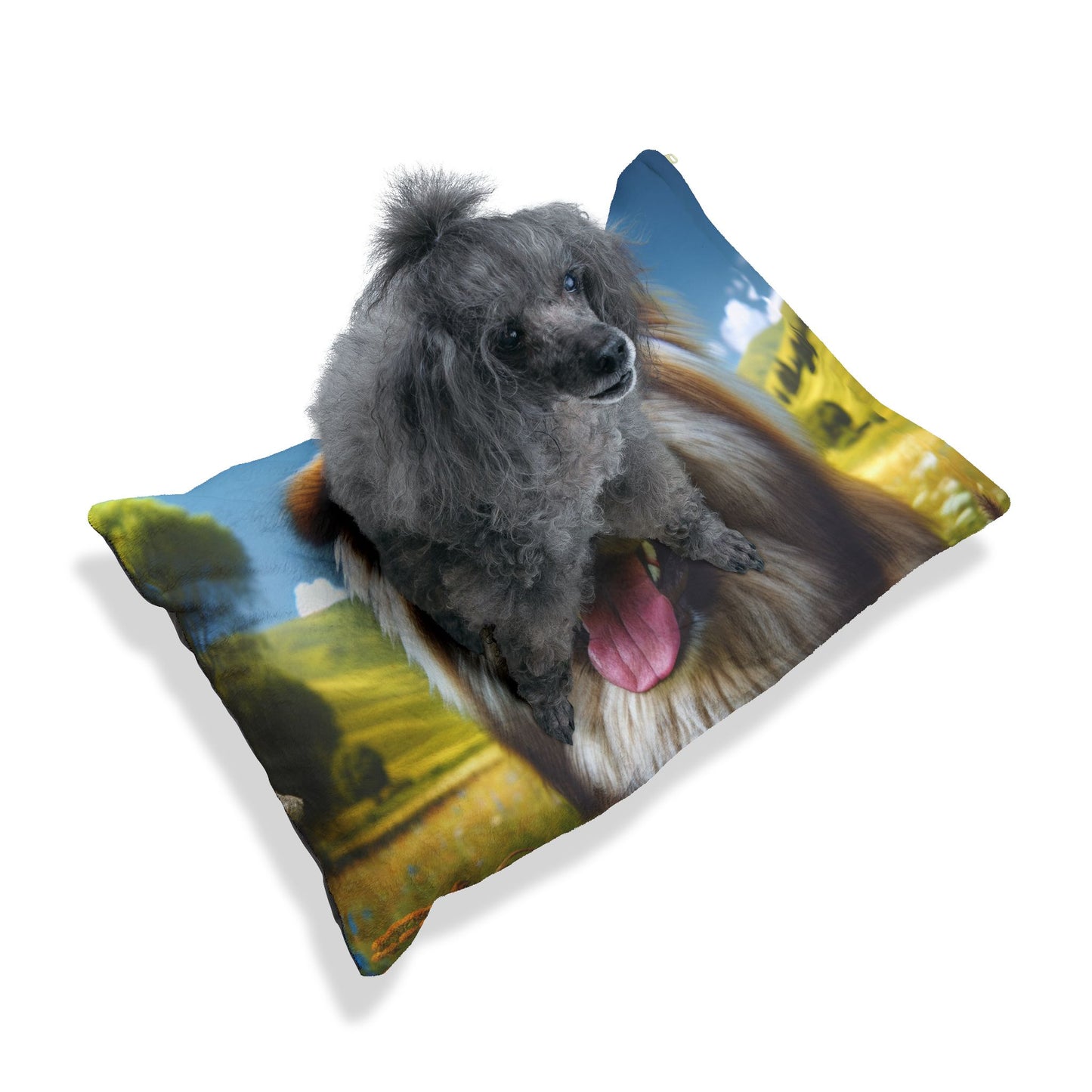 Bakharwal Pet Bed