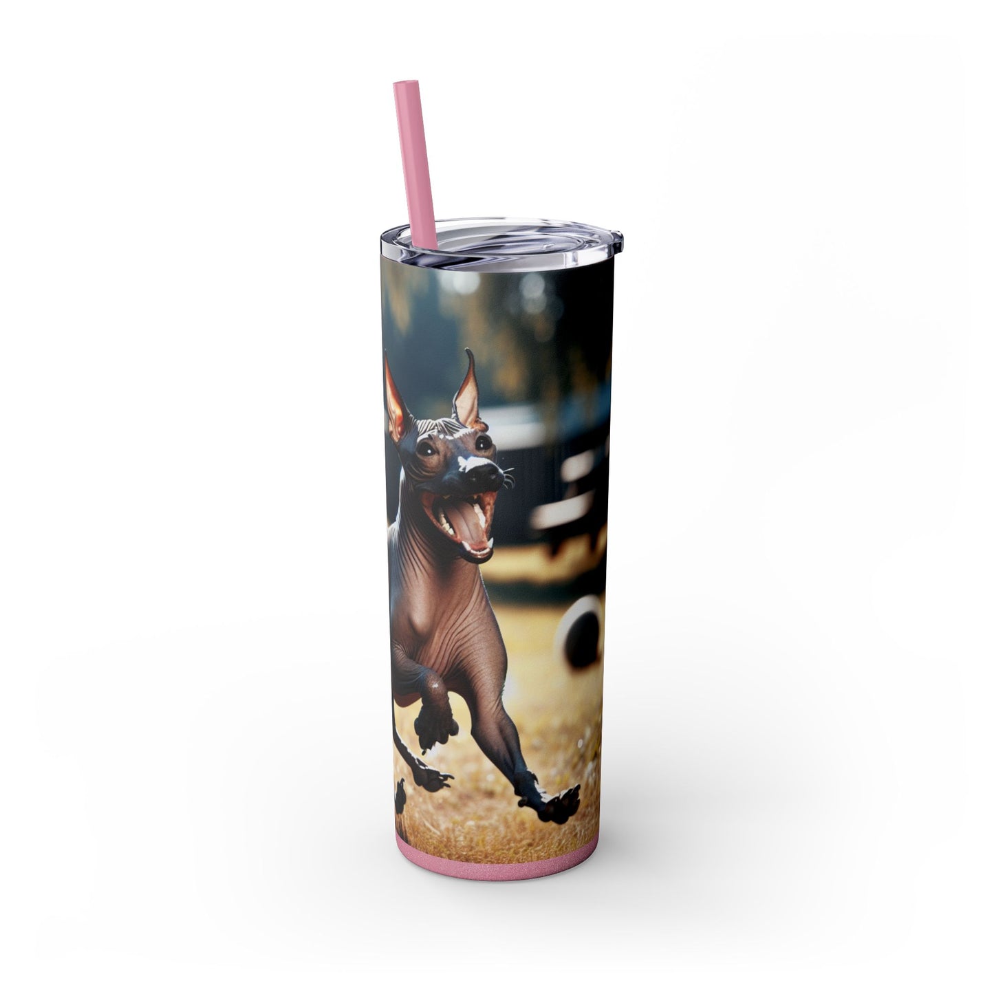 American Hairless Terrier Tumbler with Straw, 20oz