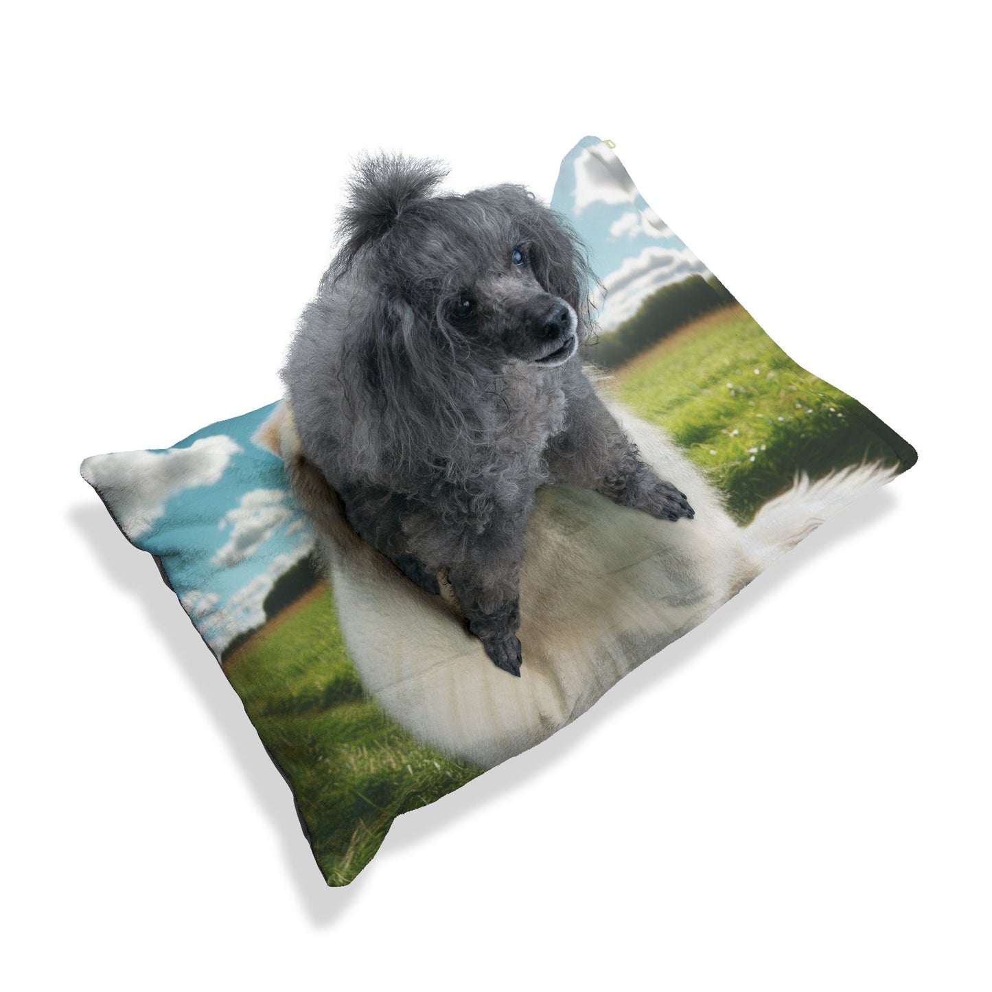 Maremma Sheepdog Pet Bed