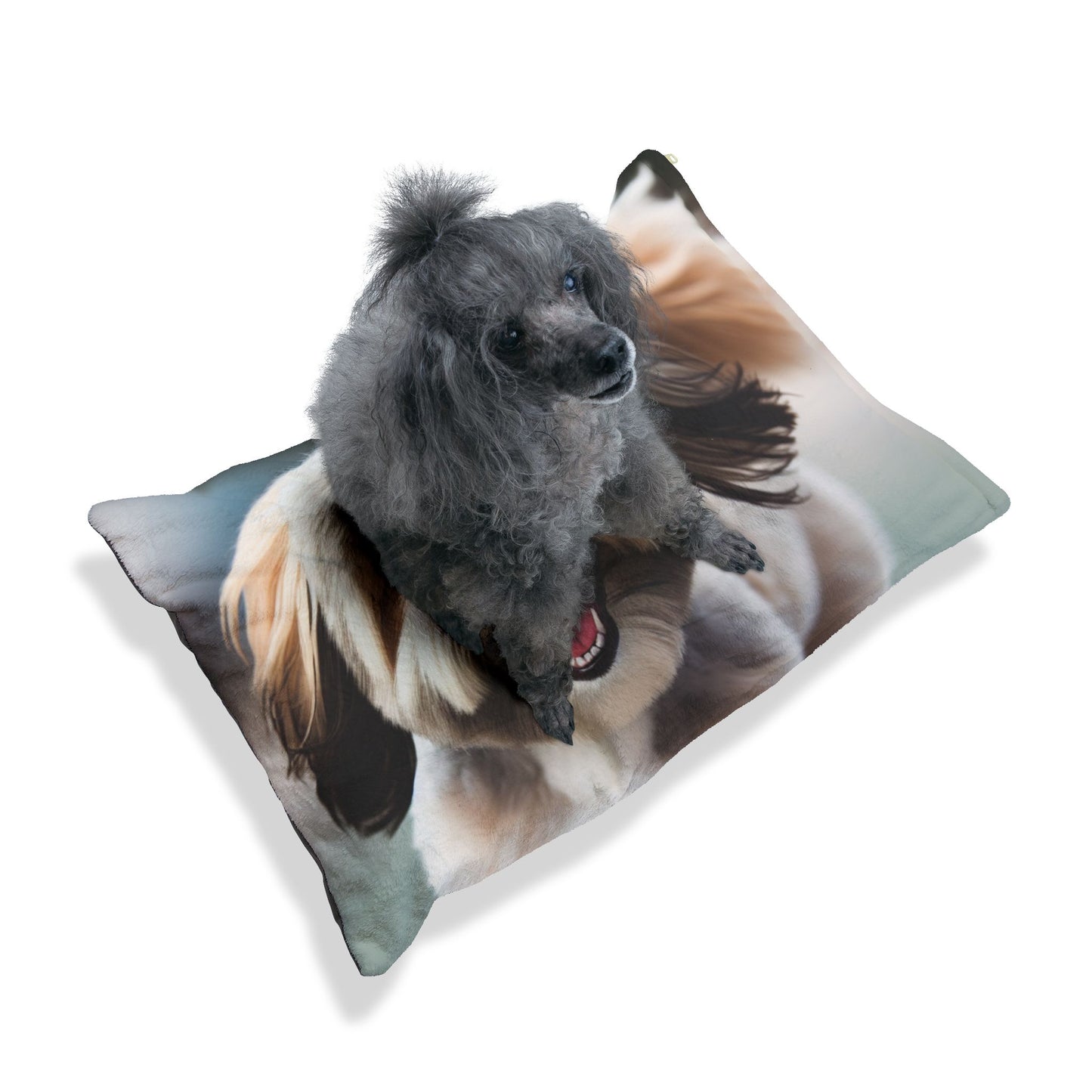 Lowchen Pet Bed