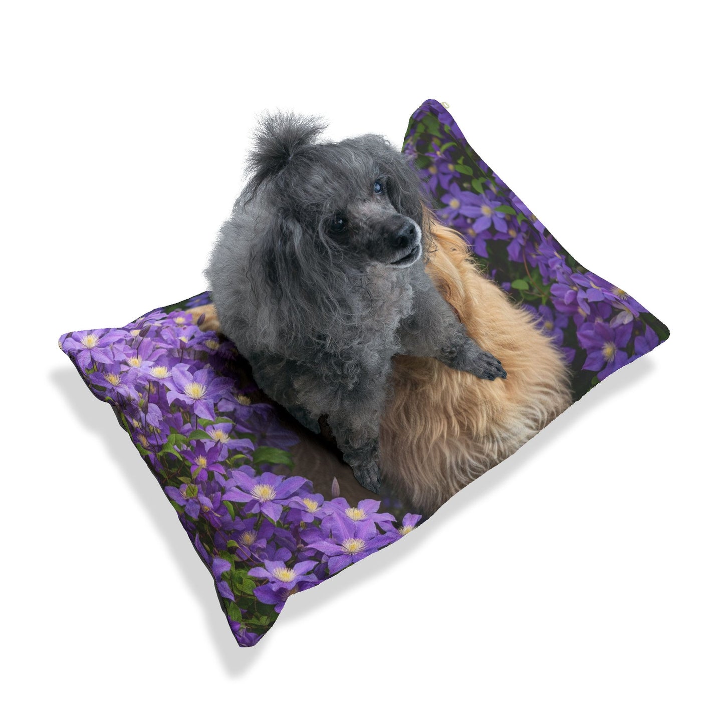 Berger Picard Pet Bed