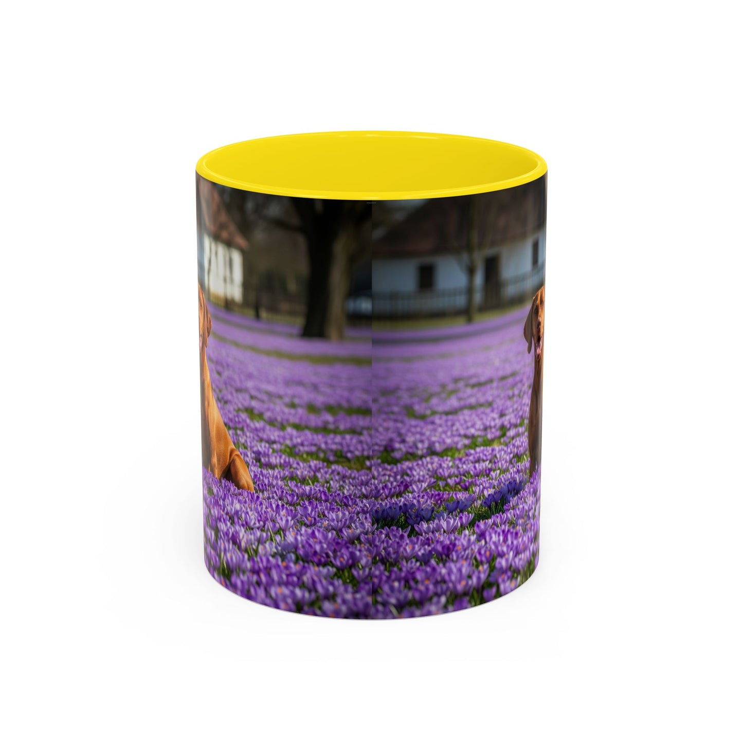 Vizsla Accent Coffee Mug - Perfect Gift for Dog Lovers