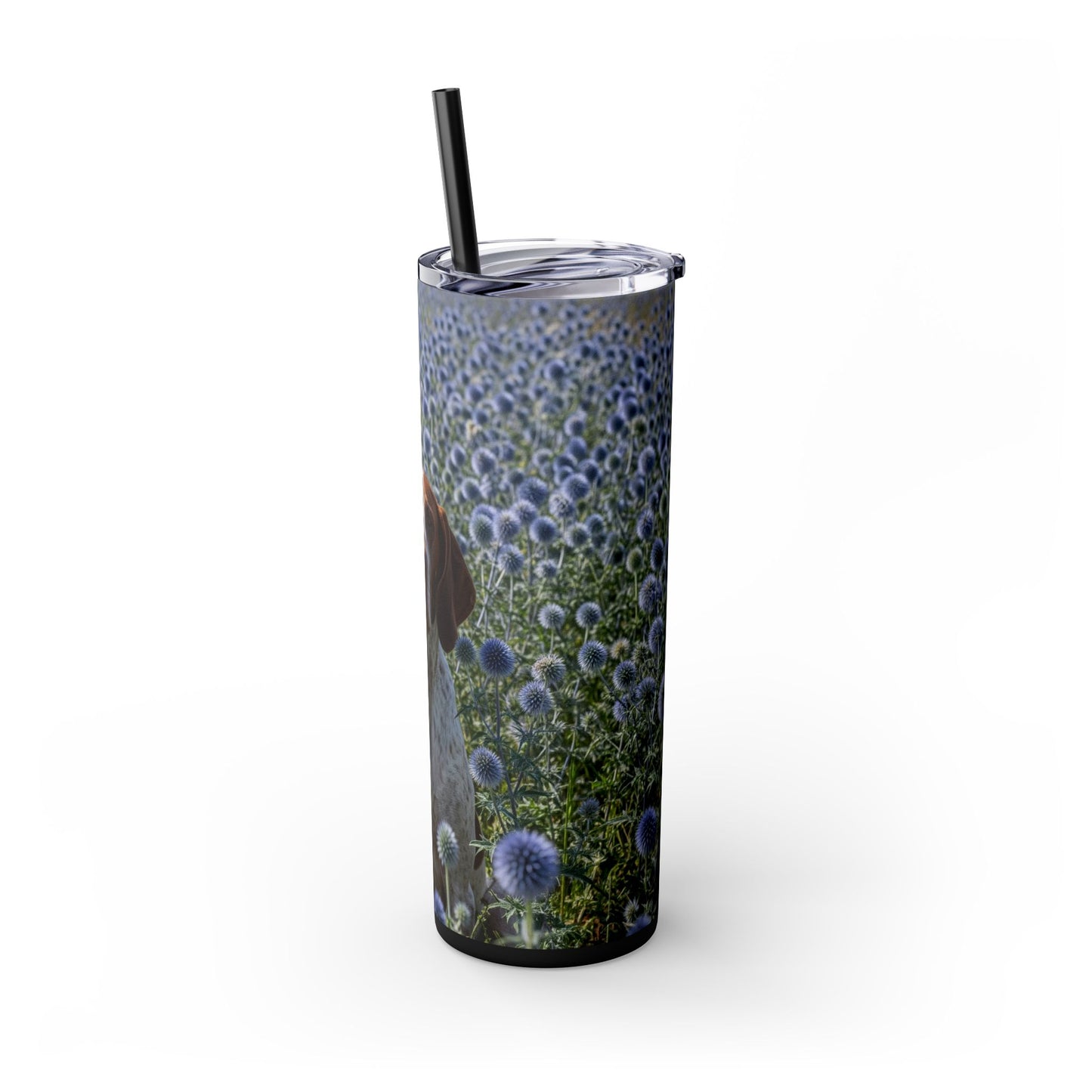Braque Francais Pyrenean Tumbler with Straw, 20oz