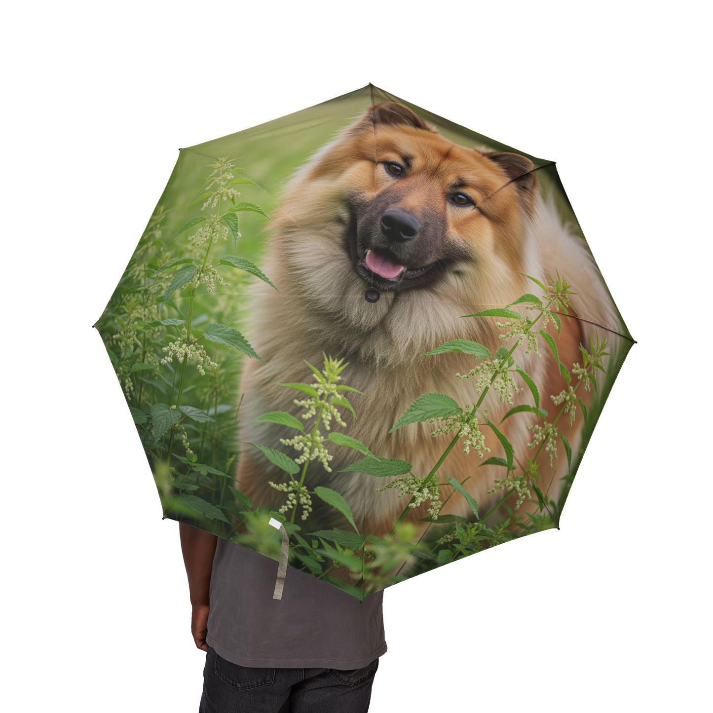 Eurasier Semi-Automatic Foldable Umbrella