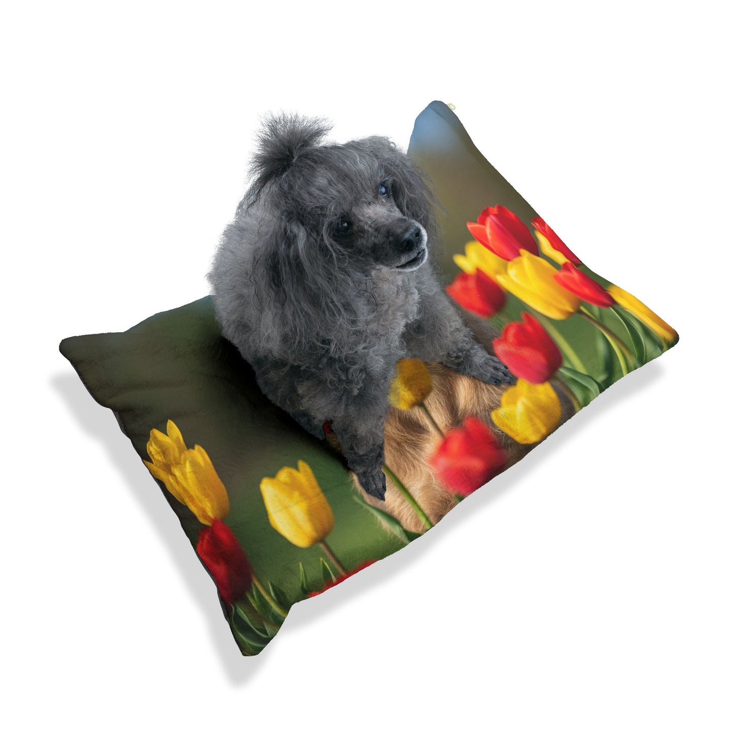 Pumi Pet Bed