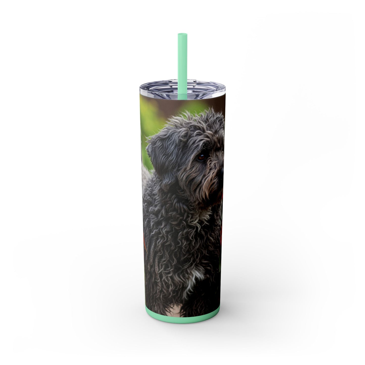 Puli Skinny Tumbler with Straw, 20oz
