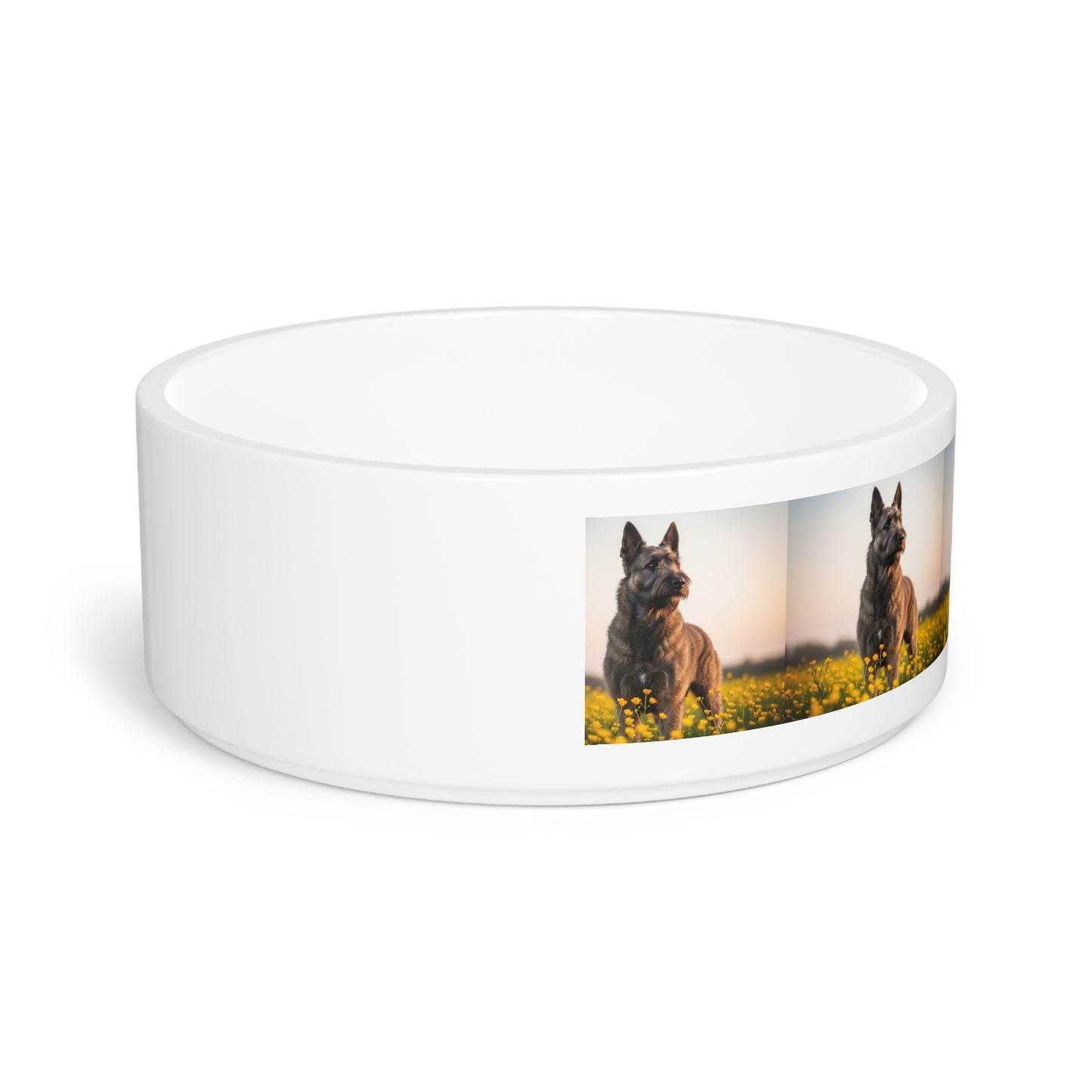 Bouvier des Flandres Pet Bowl