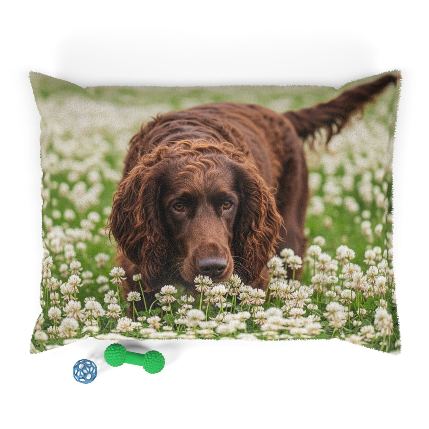 Irish Water Spaniel Pet Bed