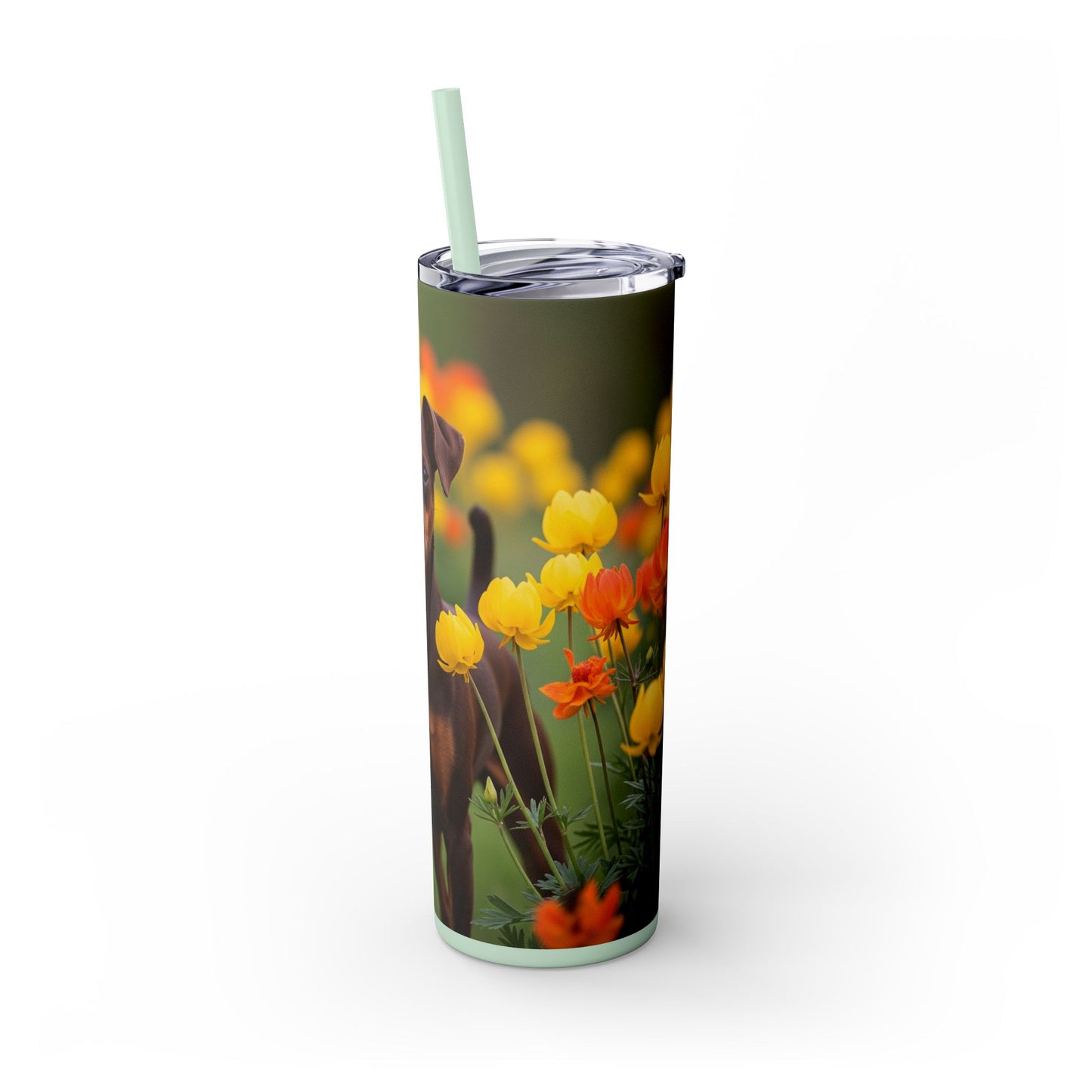 Miniature Pinscher Skinny Tumbler with Straw, 20oz