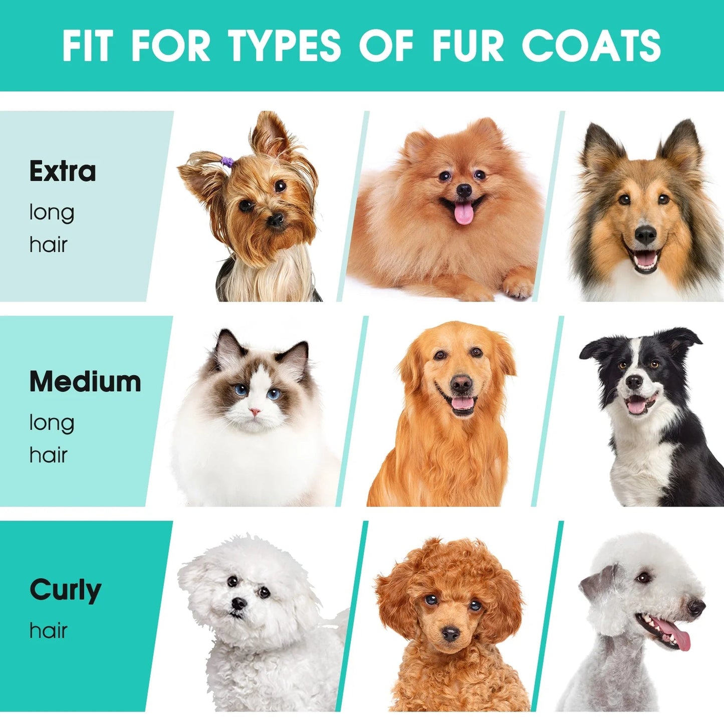 Kit de aseo y aspiradora para mascotas 5 en 1