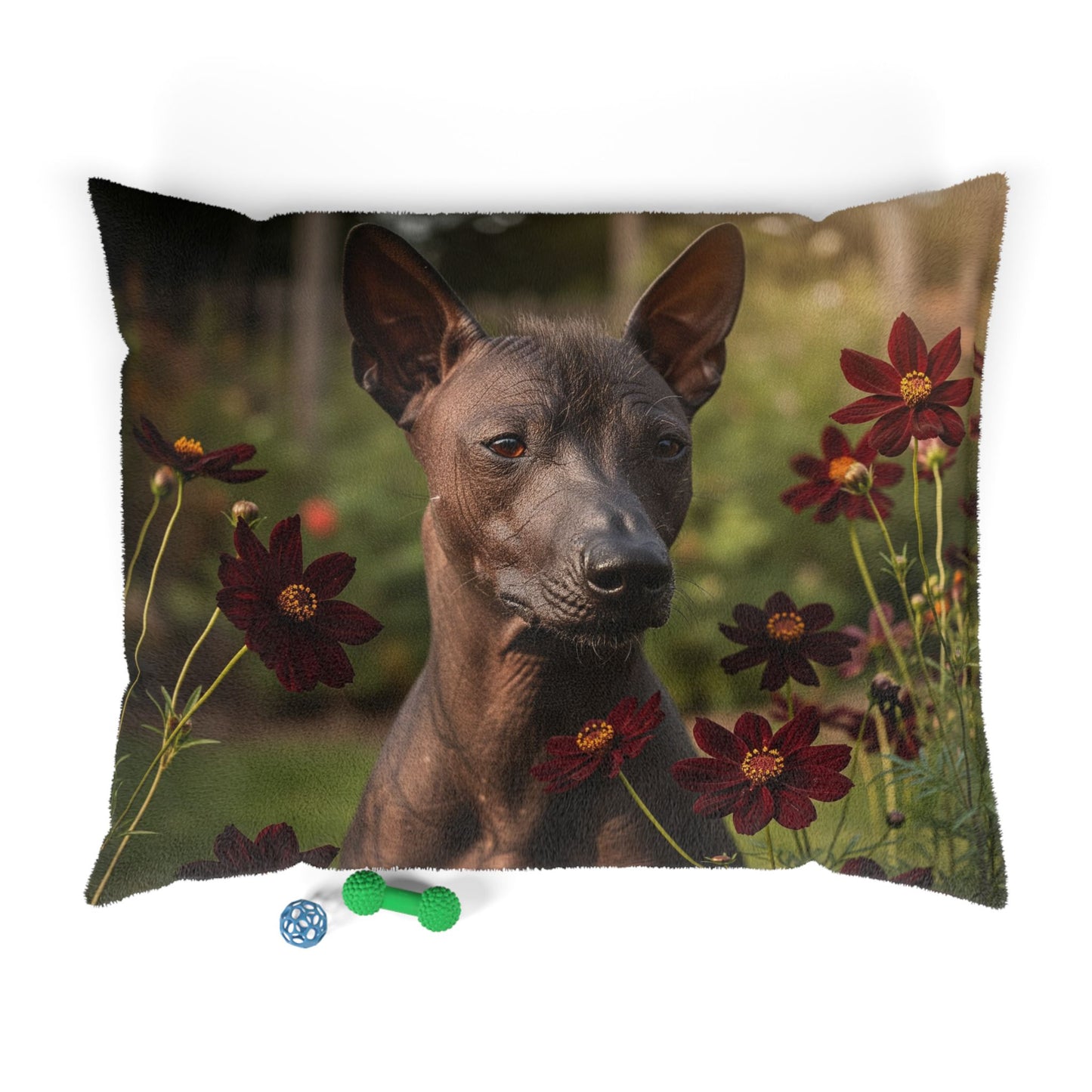 Xoloitzcuintli Pet Bed