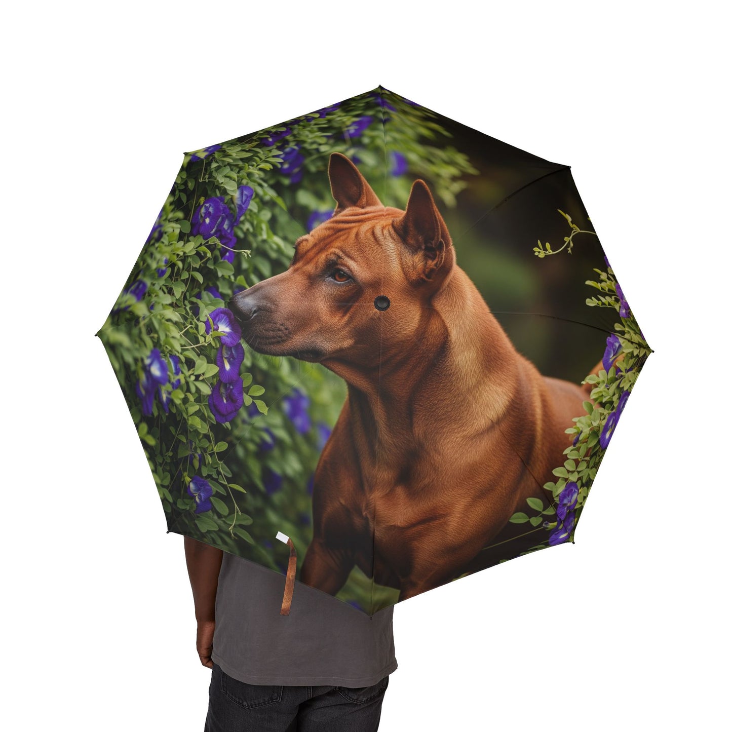 Thai Ridgeback Semi-Automatic Foldable Umbrella