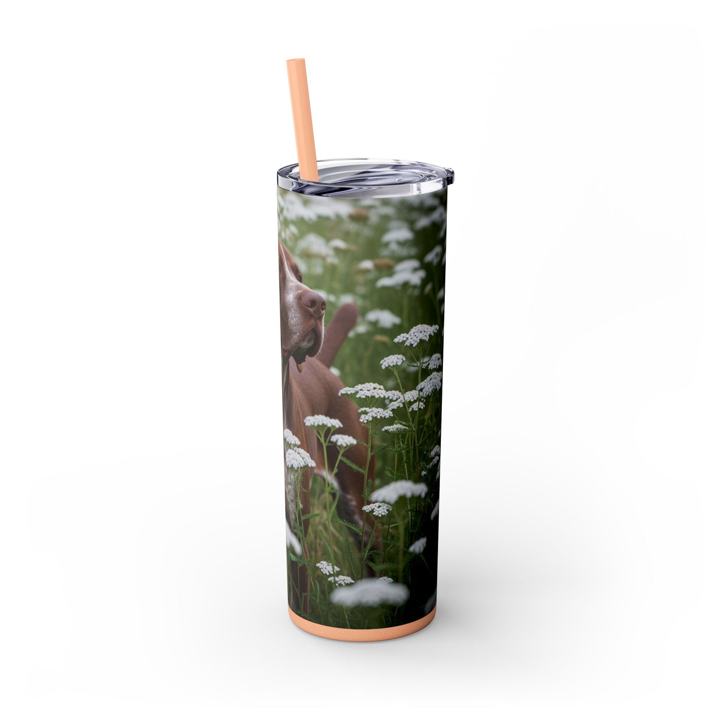 Braque du Bourbonnais Tumbler with Straw, 20oz
