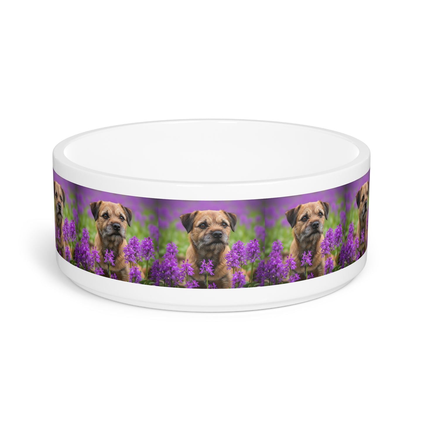 Border Terrier Pet Bowl