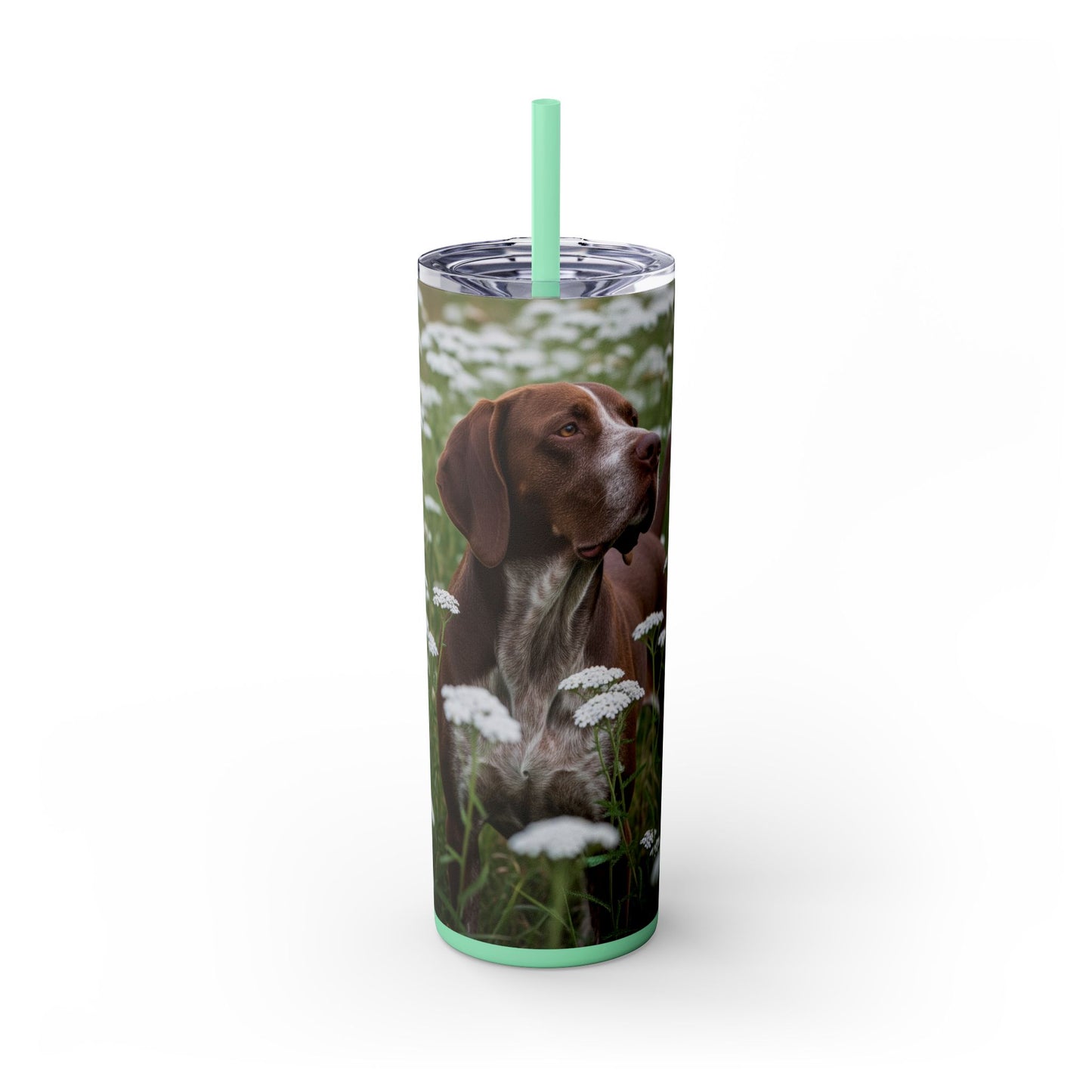 Braque du Bourbonnais Tumbler with Straw, 20oz