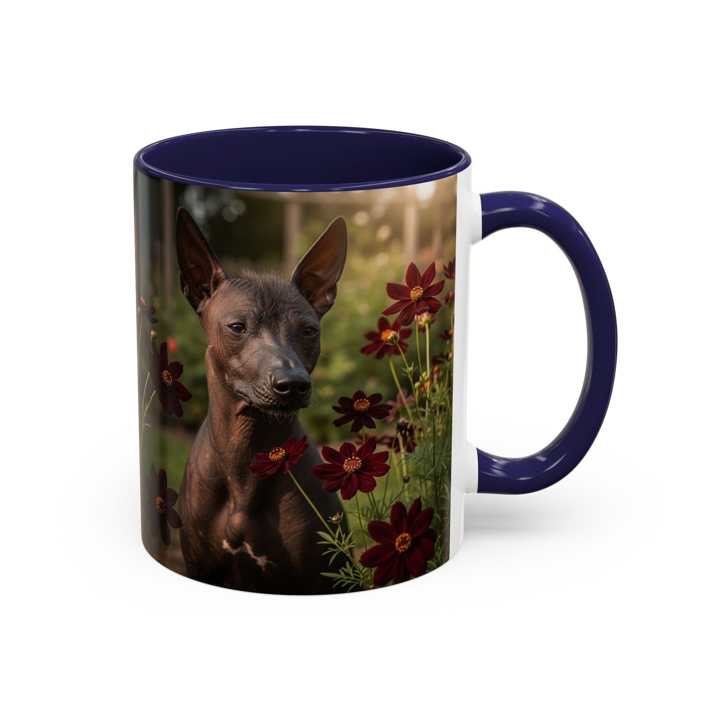 Xoloitzcuintli Accent Coffee Mug - Perfect Gift for Dog Lovers