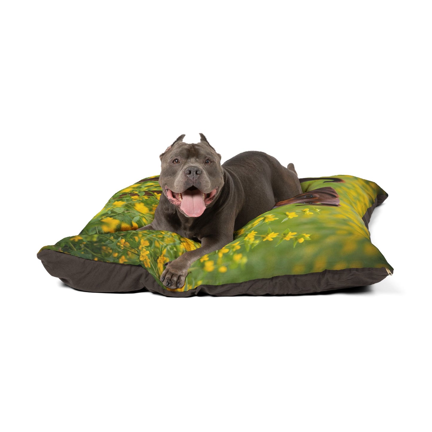 German Pinscher Pet Bed