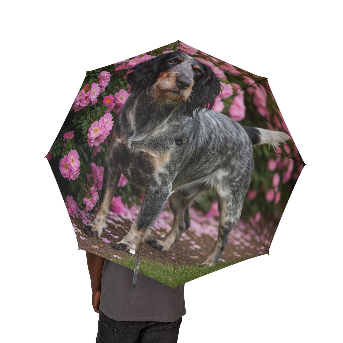 Blue Picardy Spaniel Semi-Automatic Foldable Umbrella