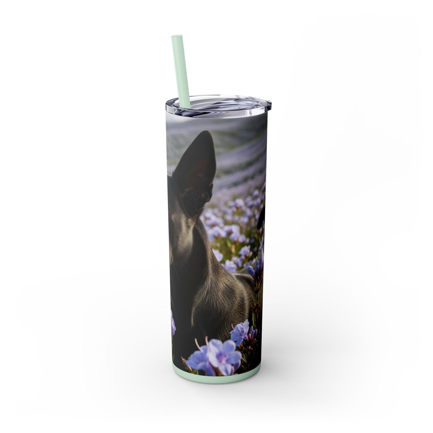 Kanni Tumbler with Straw, 20oz
