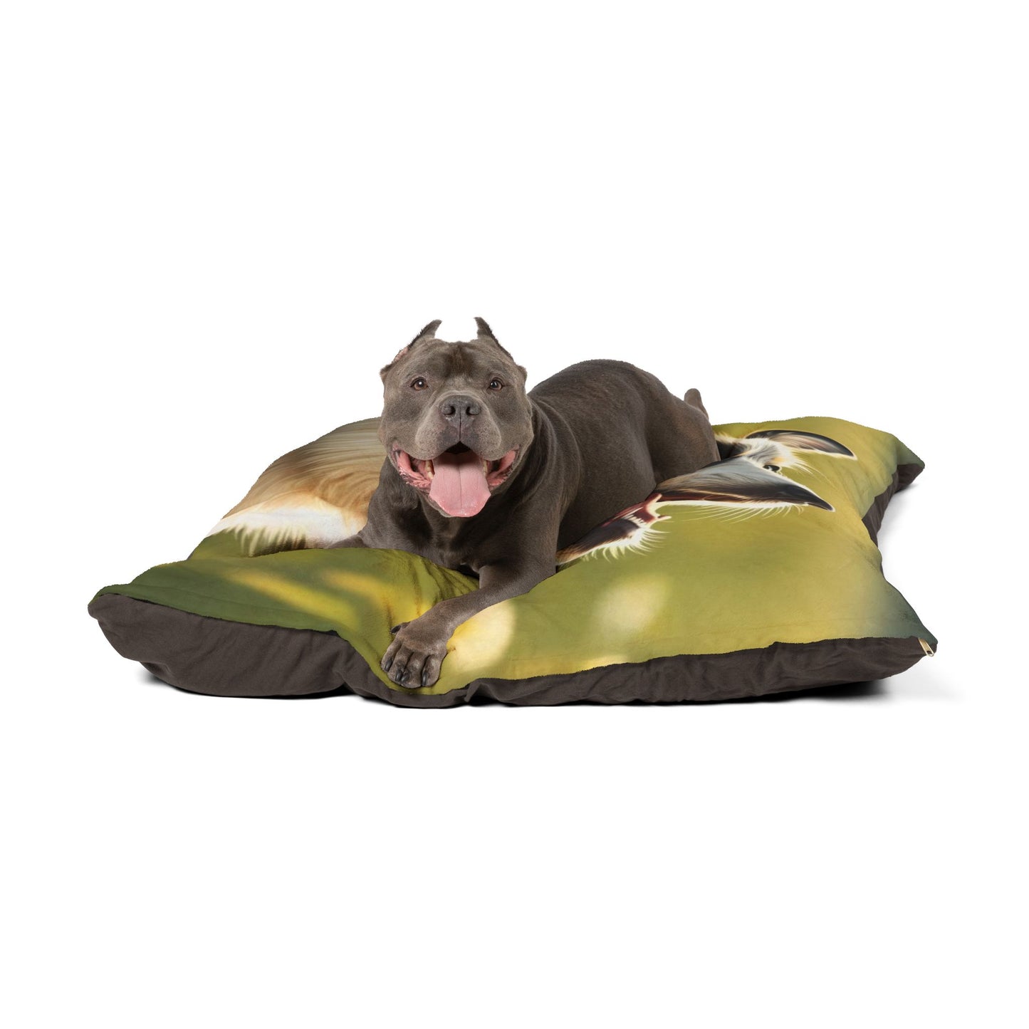 Swedish Vallhund Pet Bed