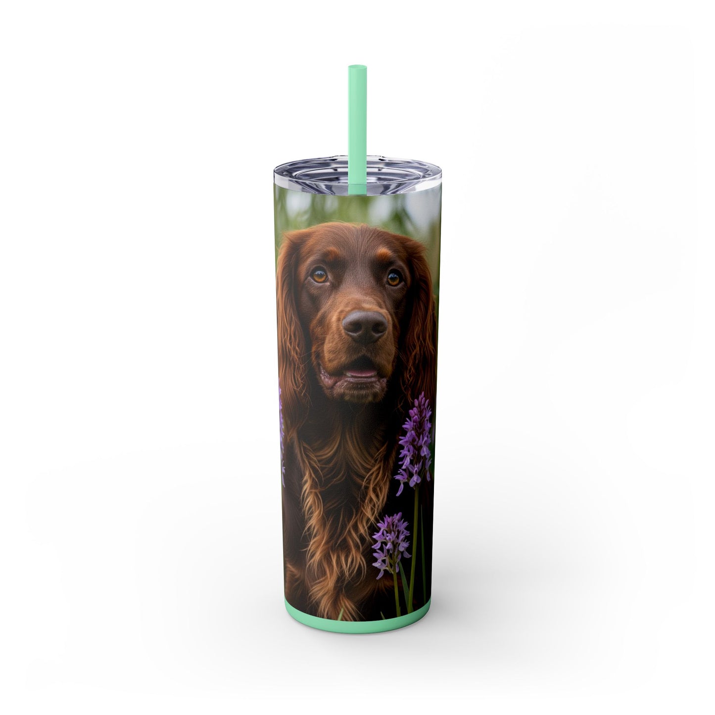 Pont-Audemer Spaniel Tumbler with Straw, 20oz