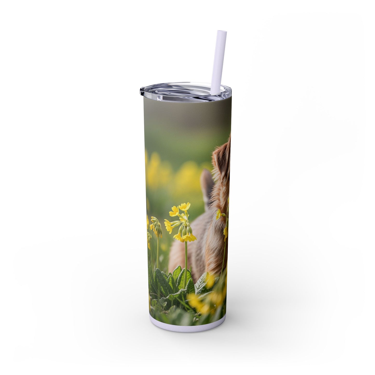 Norfolk Terrier Skinny Tumbler with Straw, 20oz