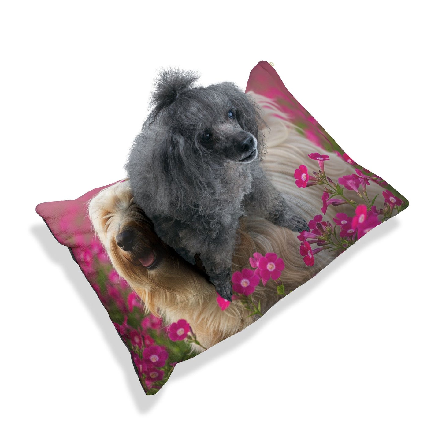 Tibetan Terrier Pet Bed
