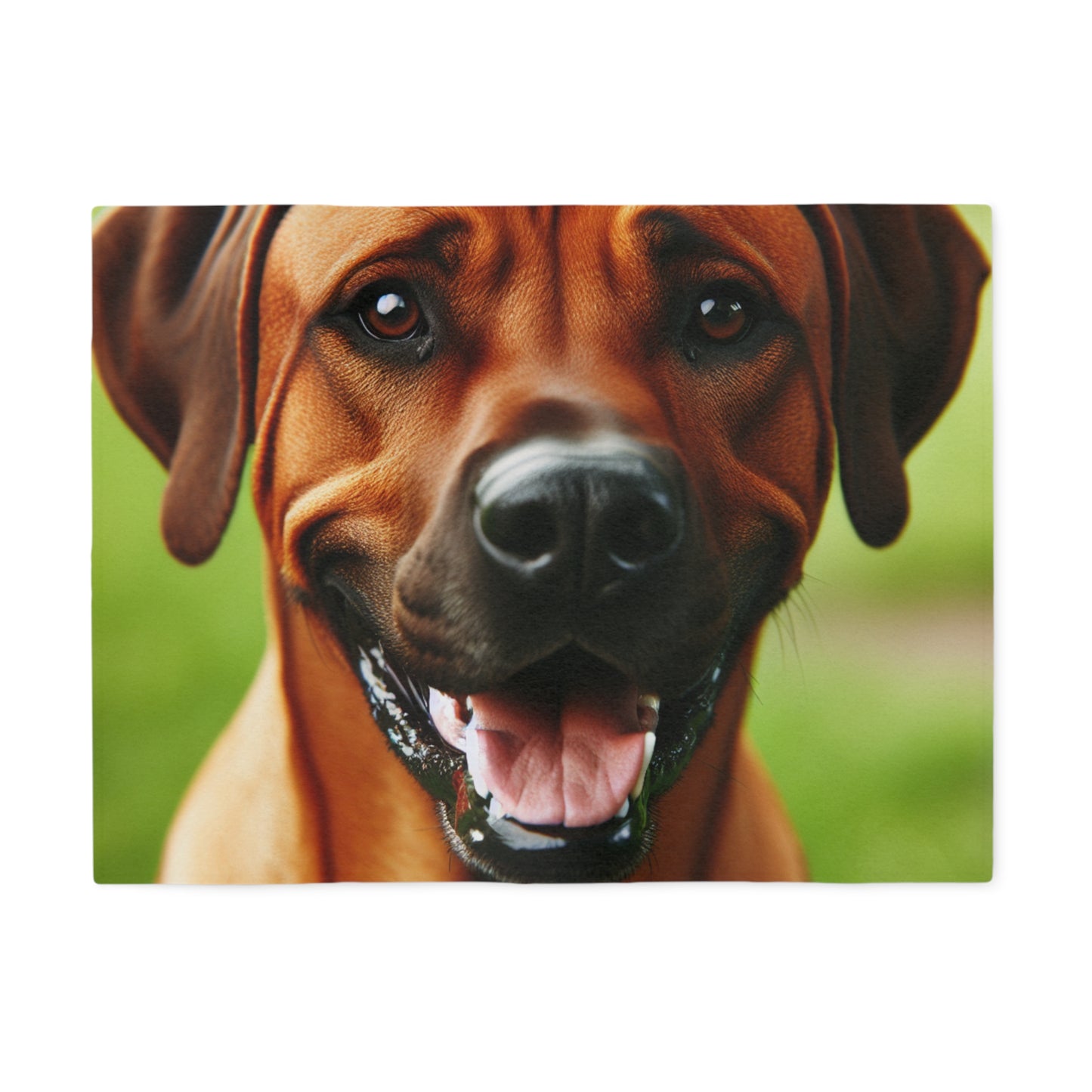 Rhodesian Ridgeback Sweatshirt Blanket