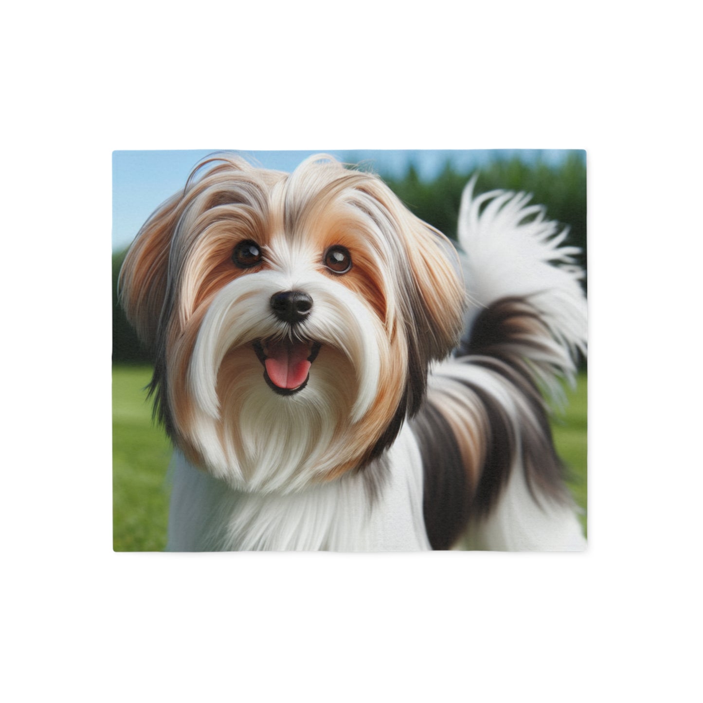 Biewer Terrier Sweatshirt Blanket
