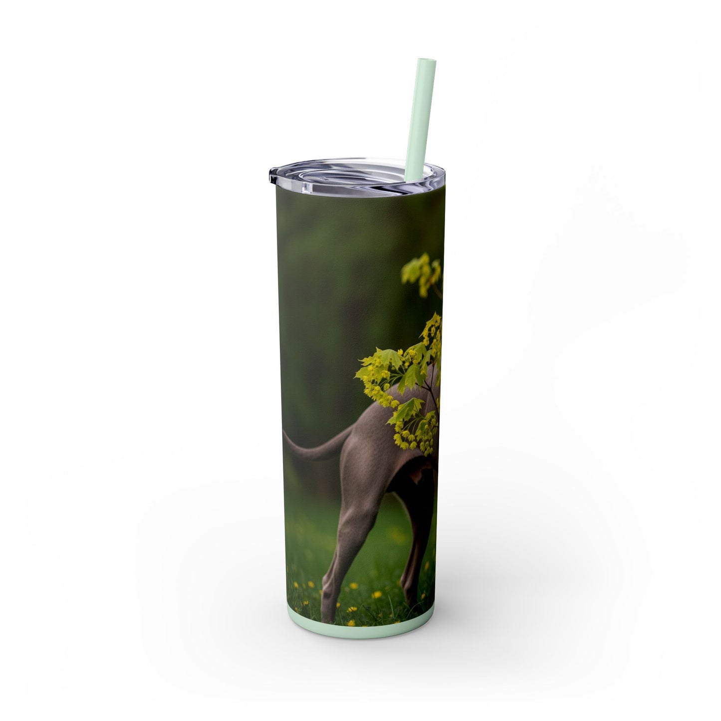 Weimaraner Skinny Tumbler with Straw, 20oz