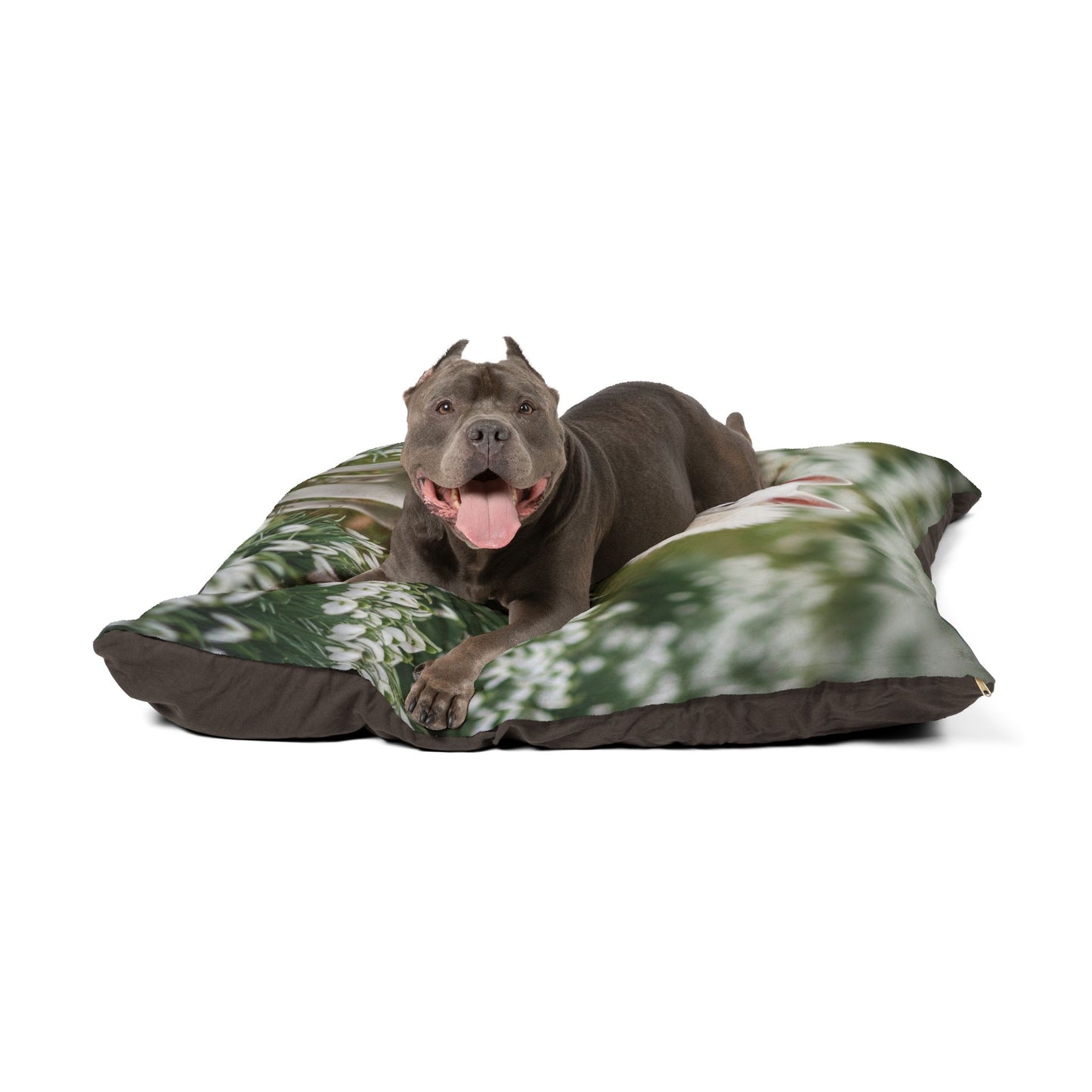 Volpino Italiano Pet Bed