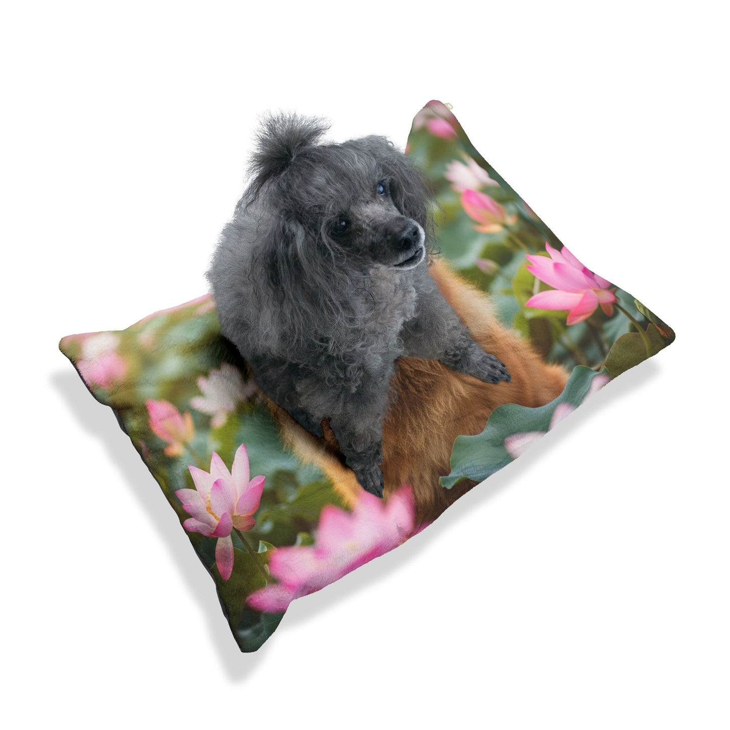 Chow Chow Pet Bed