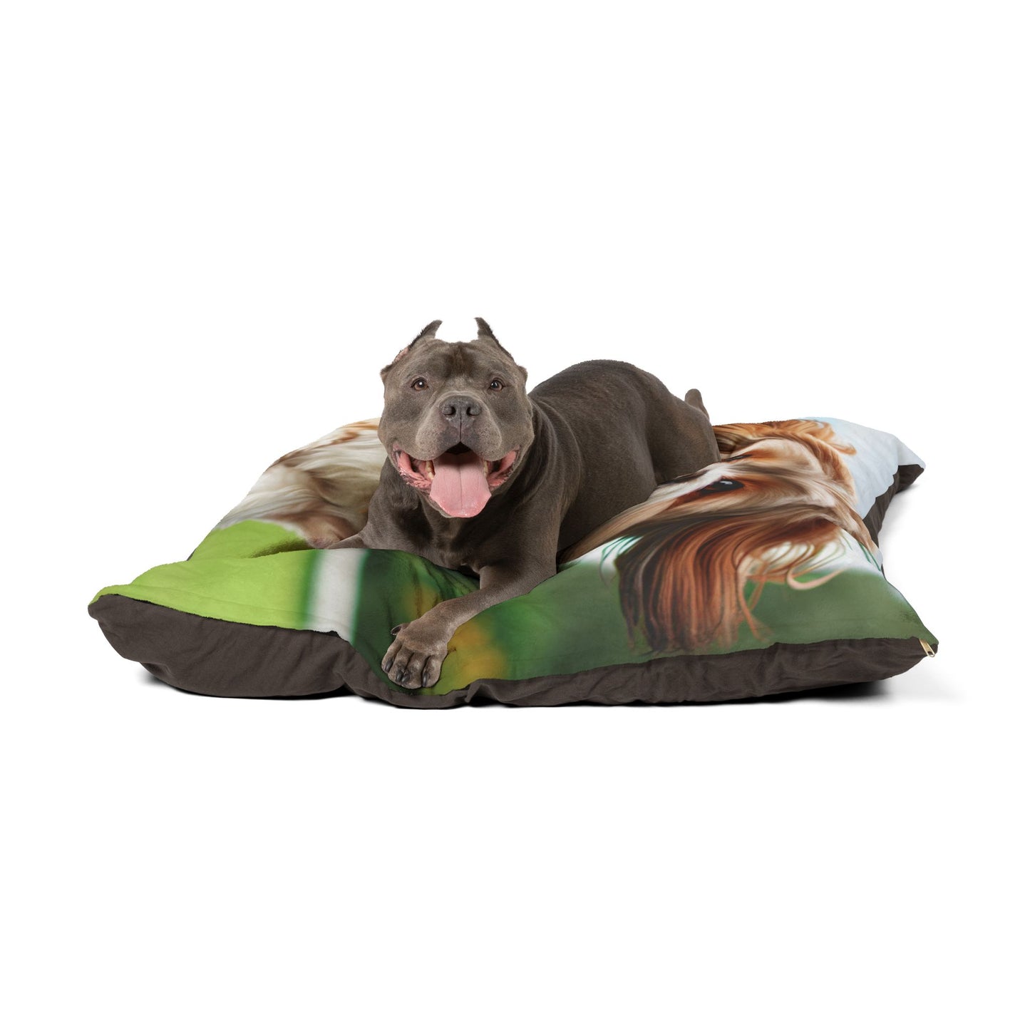 Lhasalier Pet Bed