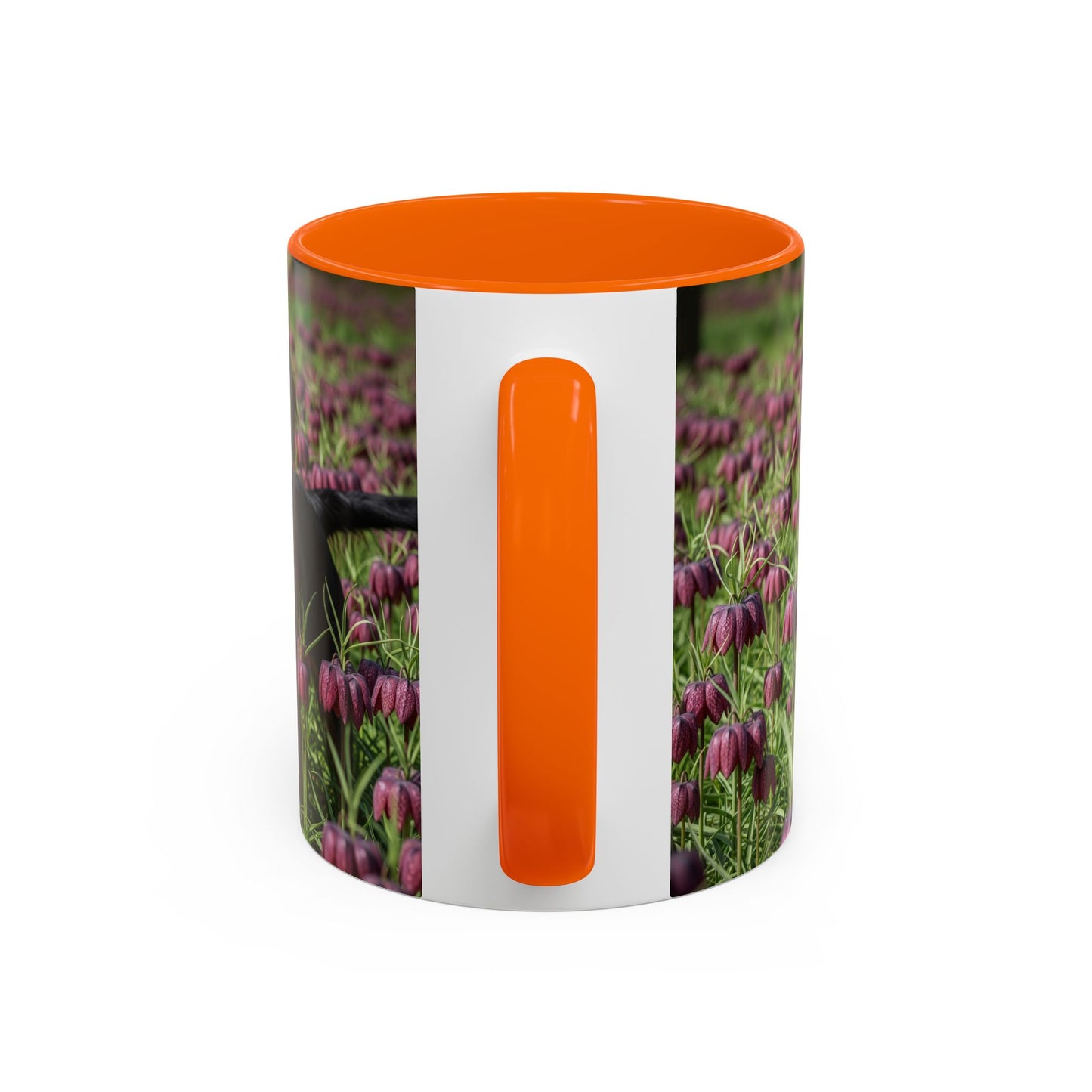 Wetterhoun Accent Coffee Mug - Perfect Gift for Dog Lovers