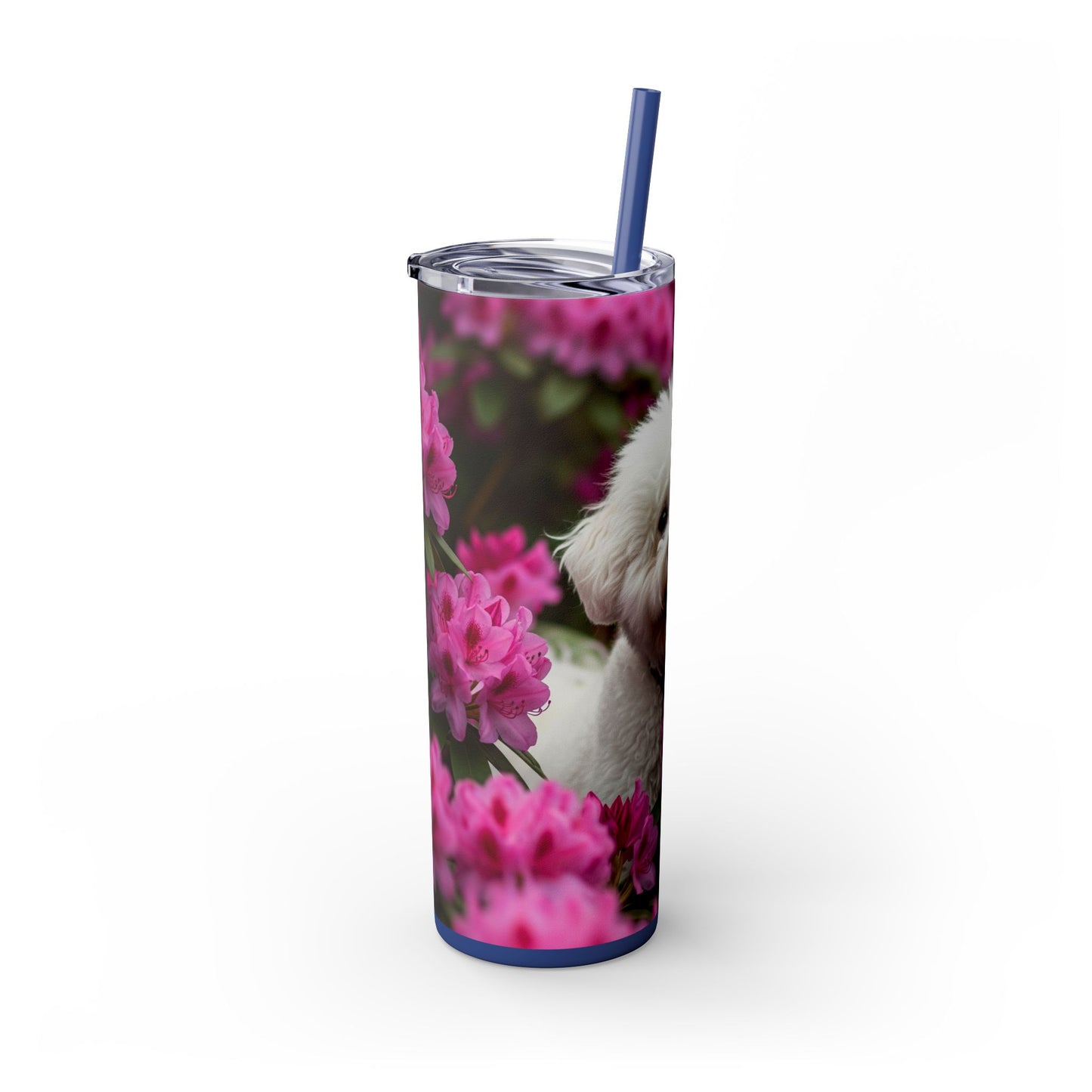 Bichon Frise Tumbler with Straw, 20oz